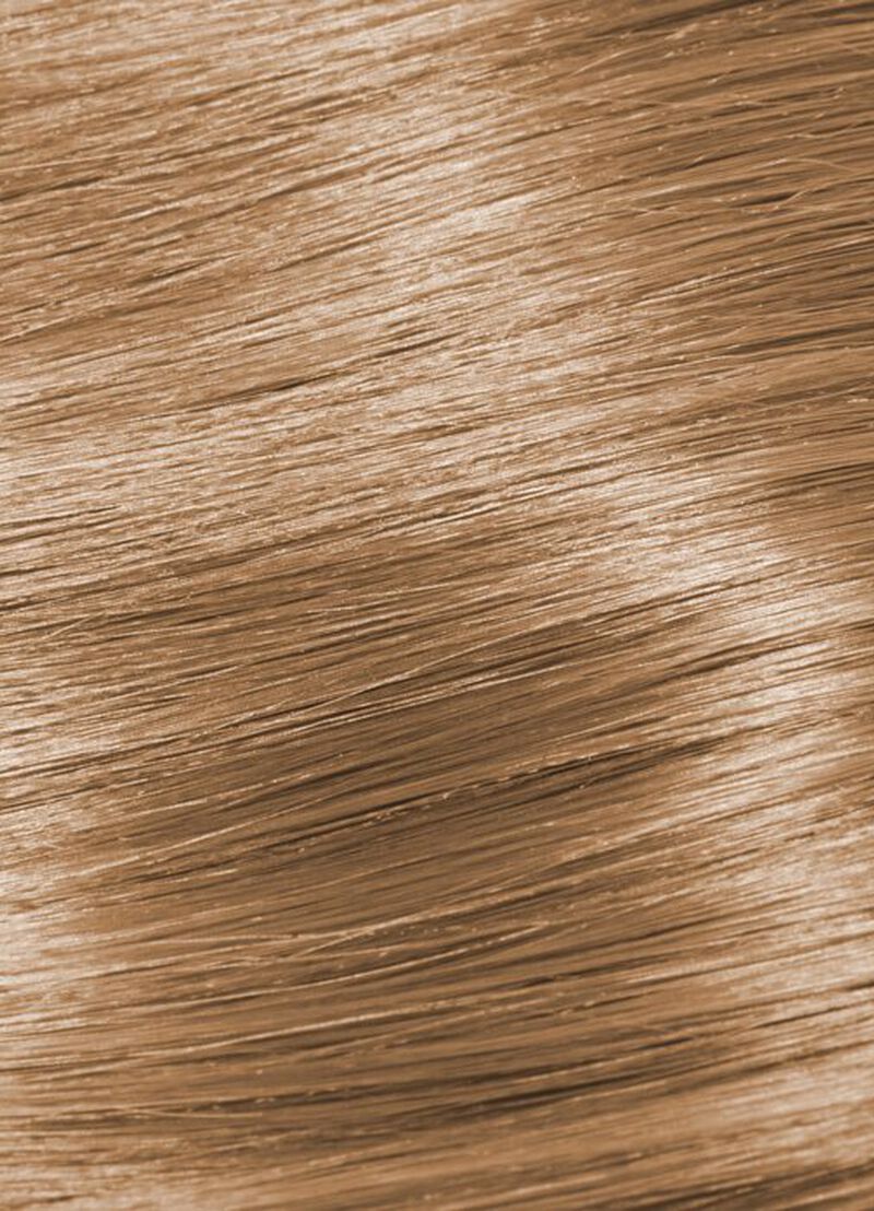 GLOSS -  8.73 - 8chG LIGHT.BLONDE.CHOCOLATE.GOLD image number 2