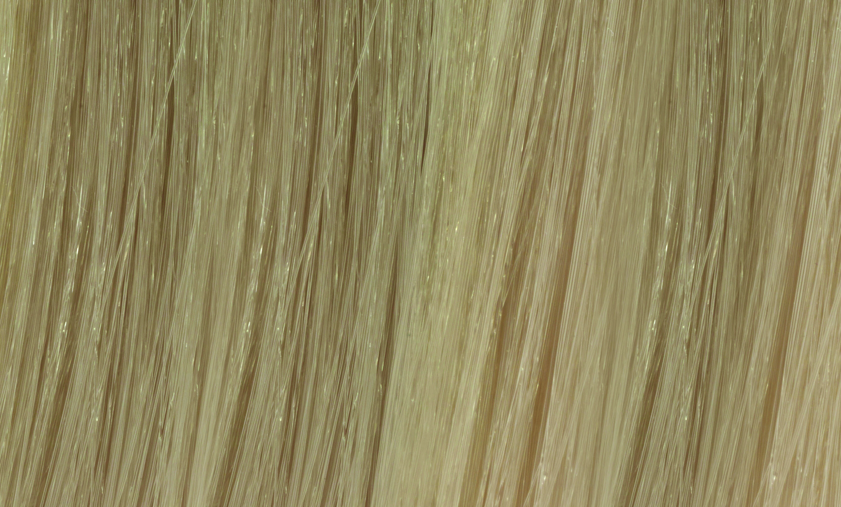 10.1 PLATINUM ASH image number 0