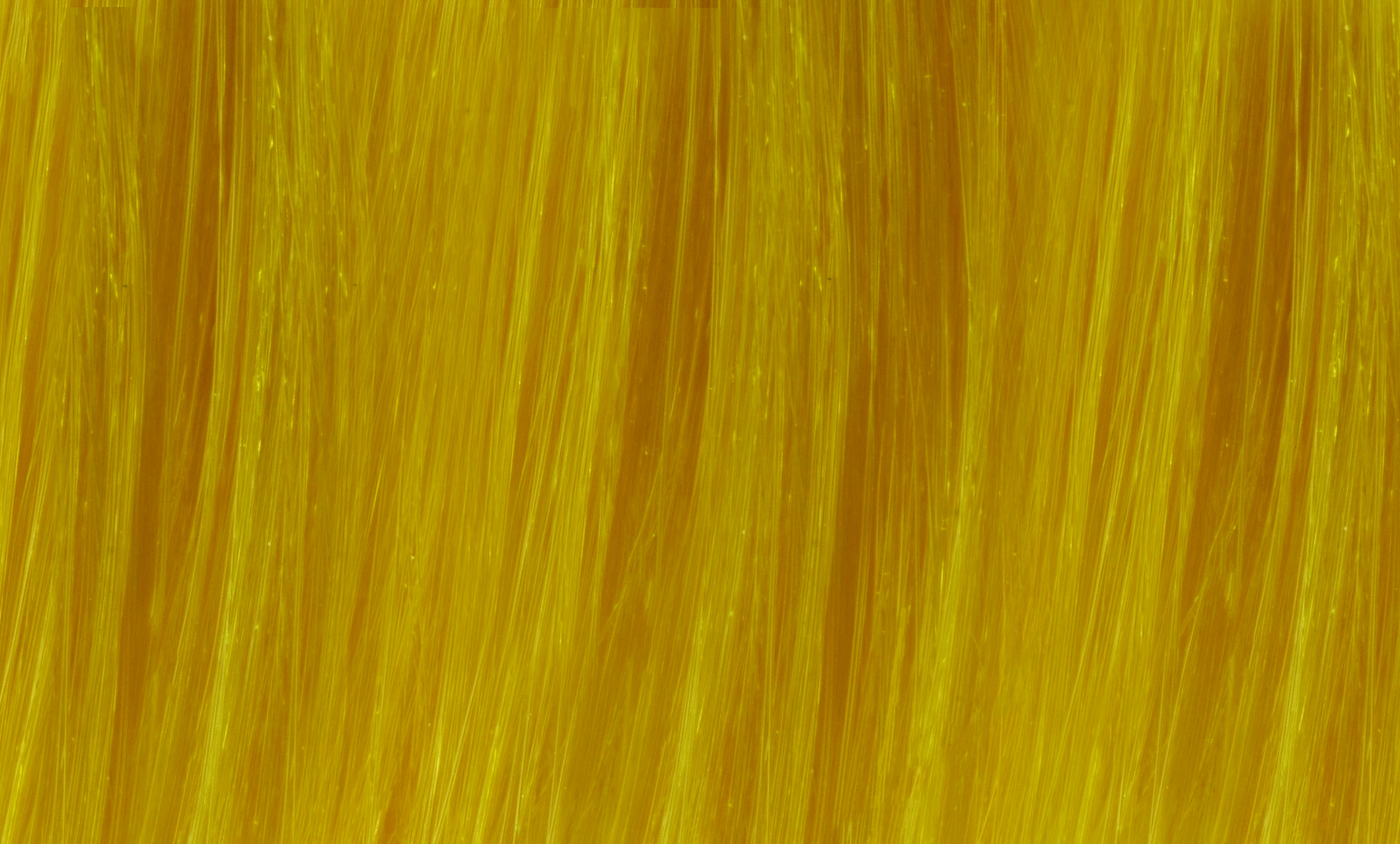 YELLOW image number 0
