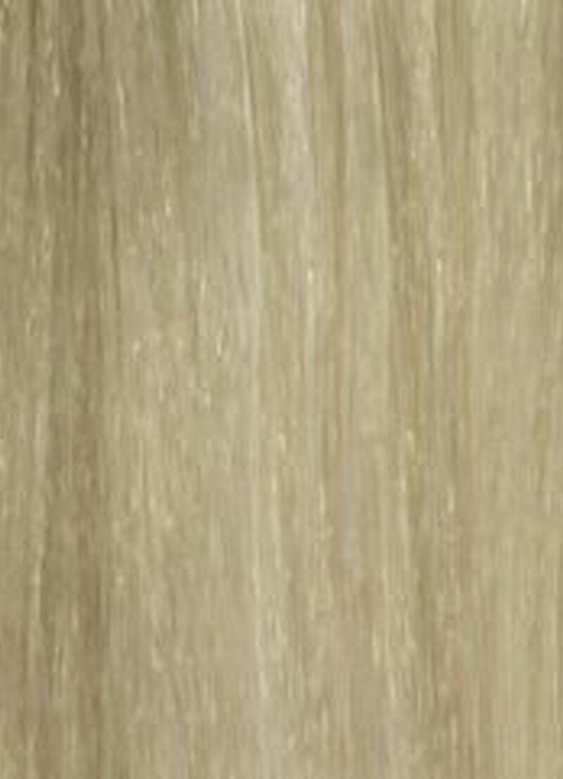 GLOSS - 9GA - 9.31 VERY.LIGHT.BLONDE.GOLD.ASH image number 0